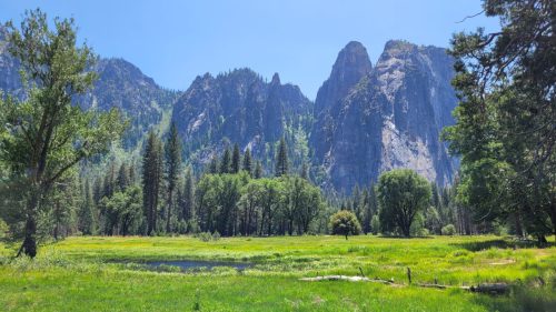 USA_0870