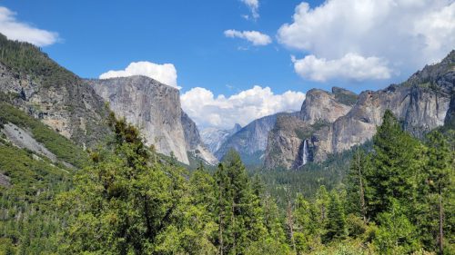 USA_0874