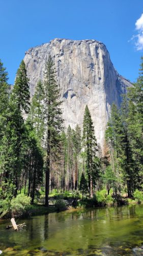 USA_0878