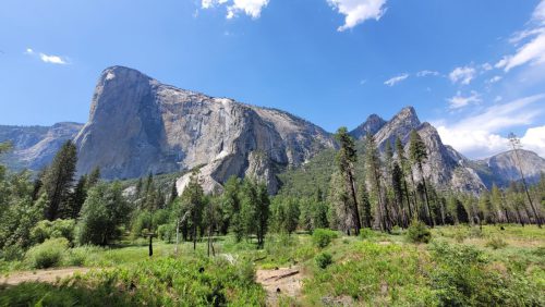 USA_0879