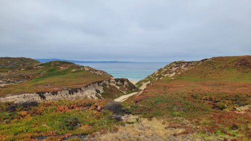 USA_0885