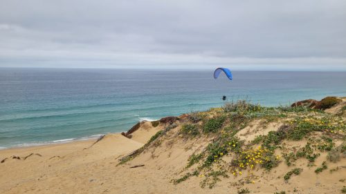 USA_0890