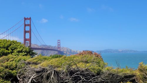 USA_0910