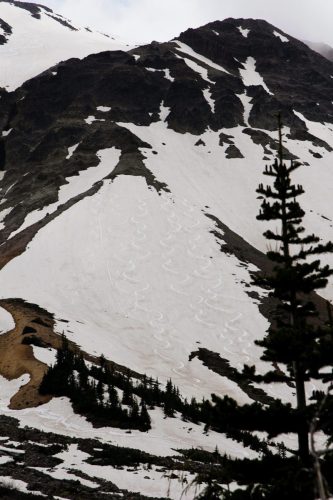 USA_0990