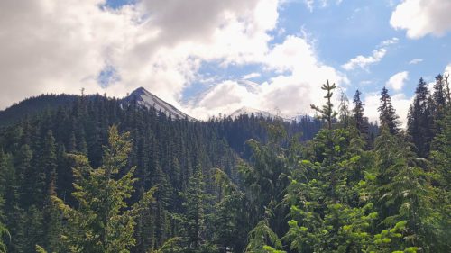 USA_0998