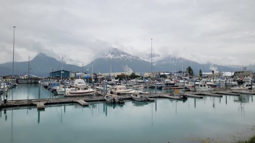 USA_1107