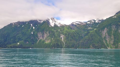 USA_1145