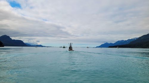 USA_1147