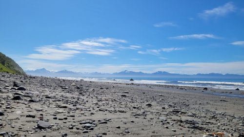 USA_1395