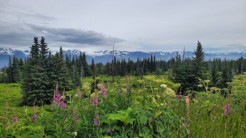 USA_1422