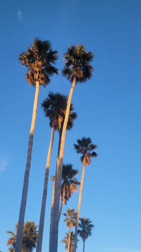 USA_1845