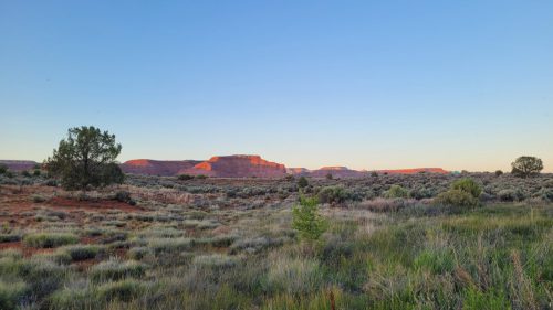 USA_2109