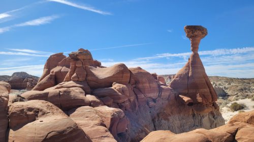 USA_2118