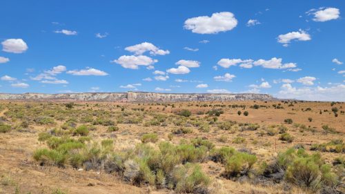 USA_2164